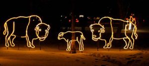 سازه های نئونی