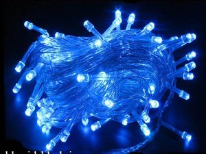 ریسه سوزنی آبی