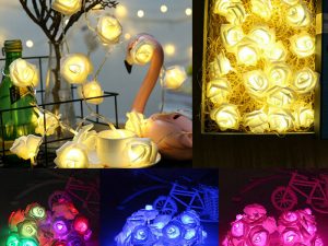 گل نوری فوم