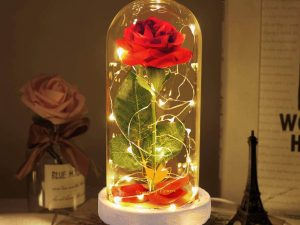 گوی دیو و دلبر