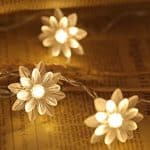 ریسه گل لوتوس