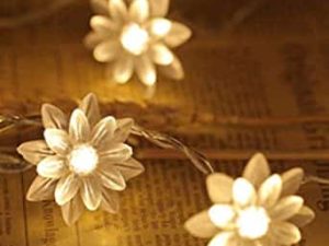 ریسه گل لوتوس