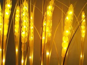 ریسه شاخه گندم