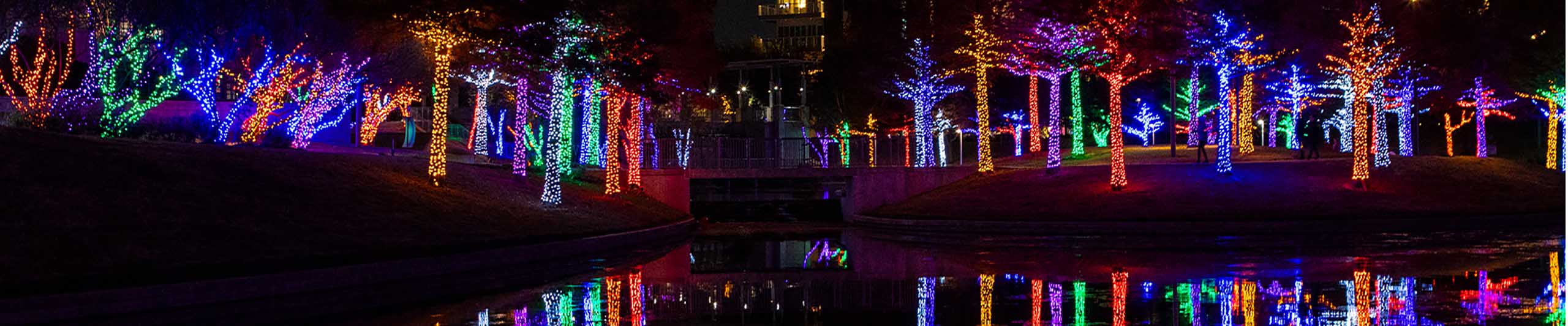 نورپردازی درختان با ریسه